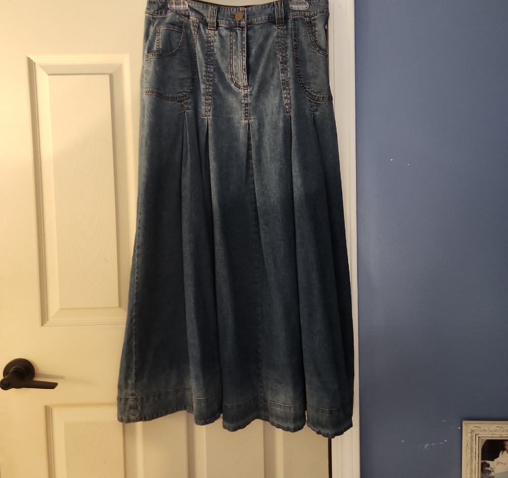 Soft Surroundings Blue Pleated Maxi Skirt